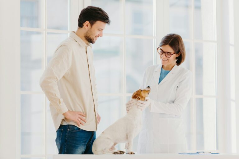 Image showcasing 7 Proven Tips To Prevent Motion Sickness In Dogs
