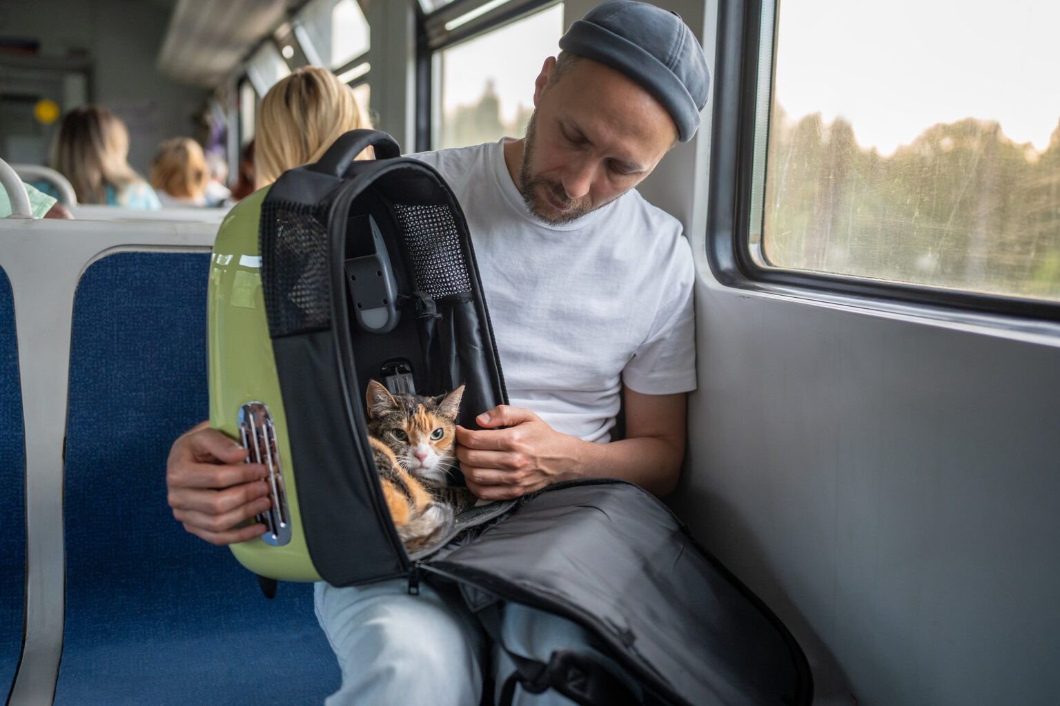 Image showcasing Planning International Pet Travel: Rules and Risks Explained