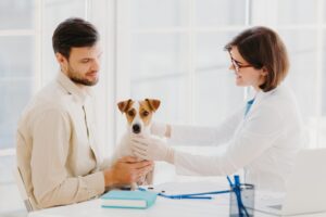 Rising Risk of Lyme Disease in Pets Across Virginia