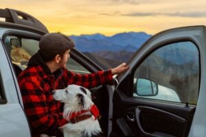 Pet owner securing dog in car seat for safe travel in Montclair, NJ