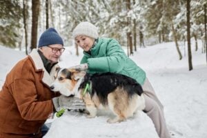 Charlottesville pet owner protecting senior pets during winter cold