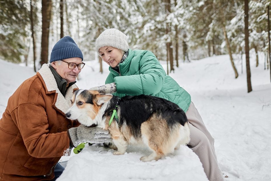 Charlottesville pet owner protecting senior pets during winter cold