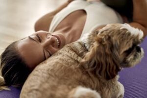 Charlottesville pet owner keeping dog calm