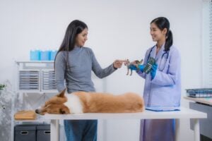 heartworm prevention treatment at Autumn Trails Veterinary Center in Charlottesville VA
