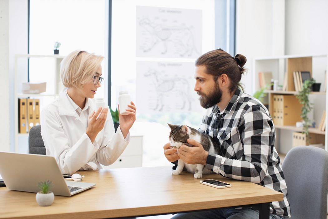 Charlottesville veterinarian explaining common dog and cat nutrition myths to local pet owners