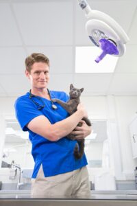 why pet owners choose Autumn Trails for urgent veterinary care in Charlottesville