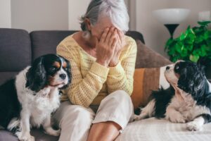 Pet anxiety solutions for Charlottesville pet owners
