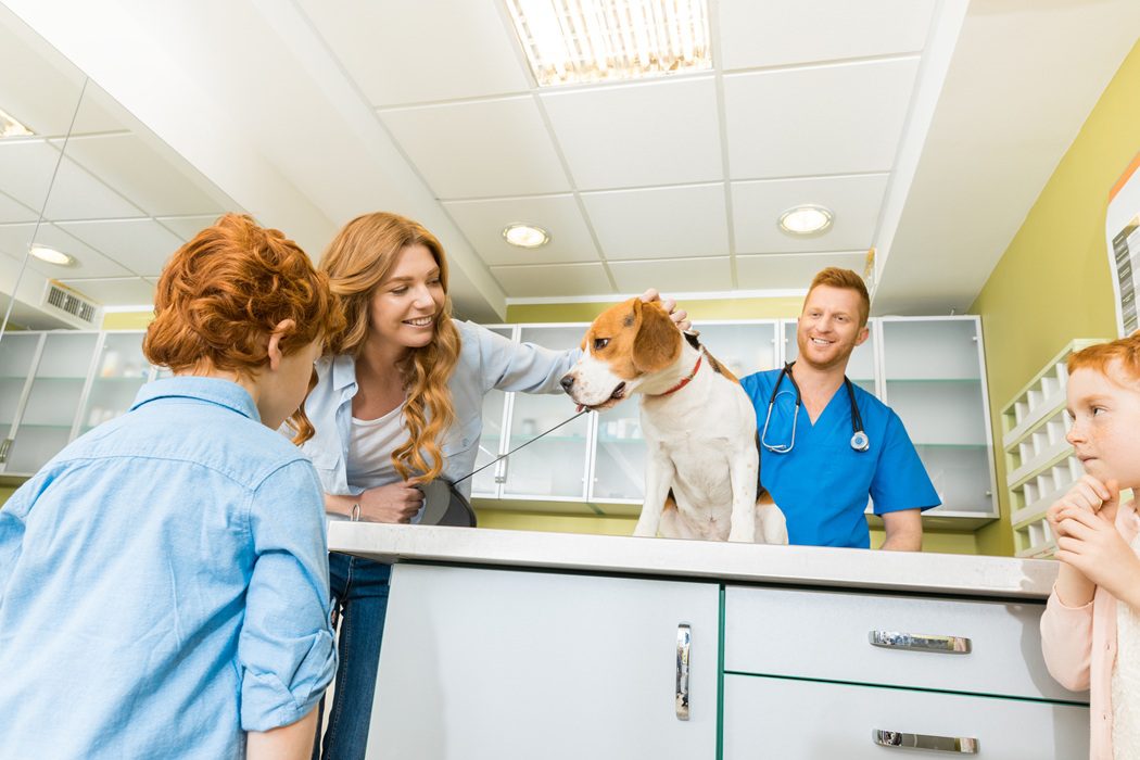 Autumn Trails Veterinary Center guide to pet urgent care vs emergency vet in Charlottesville