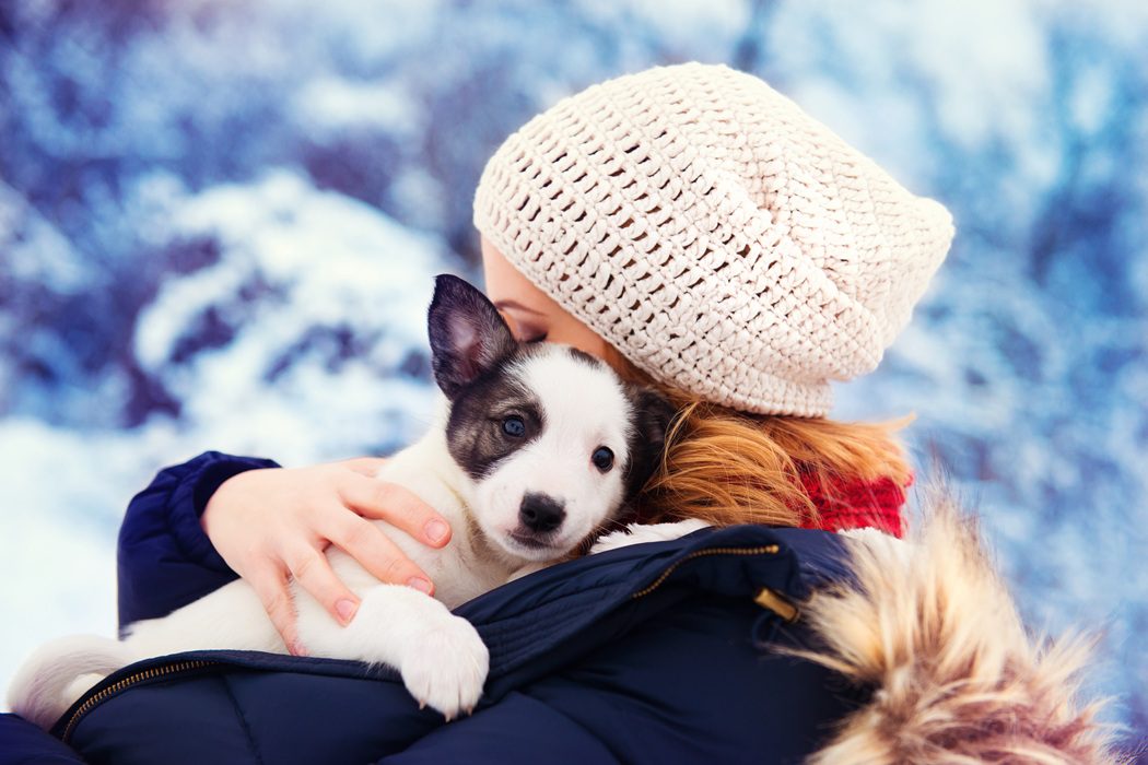 Winter Pet Care: Keeping Dogs and Cats Healthy in the Cold
