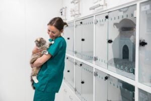 Veterinary pet boarding at Autumn Trails Veterinary Center in Charlottesville, VA offers peace of mind during travel