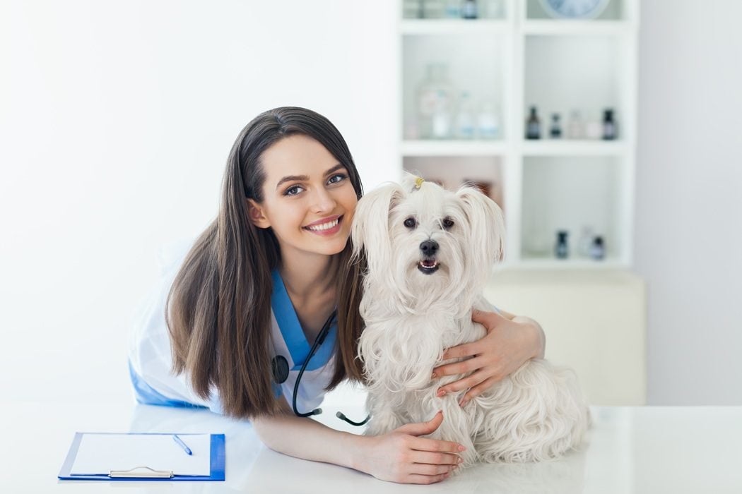 Healthy pet wellness visit at Autumn Trails Veterinary Center in Charlottesville Virginia