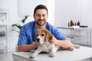 Veterinarian providing preventive pet care tips for healthy dogs and cats in Charlottesville VA